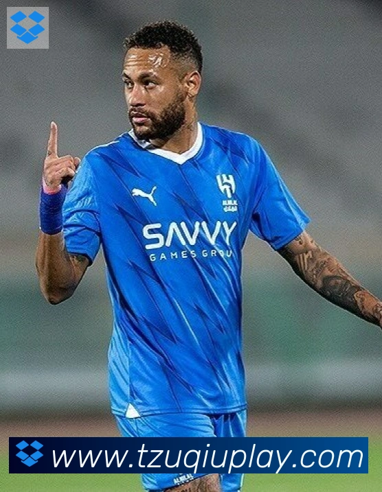 维尼修斯
