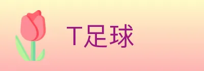 T足球 logo